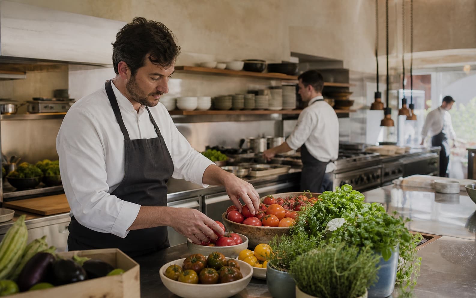 Koch wählt frische Tomaten und Kräuter in der offenen Küche aus